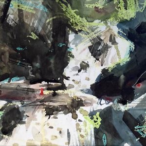 Hester Berry - Arthog Waterfalls