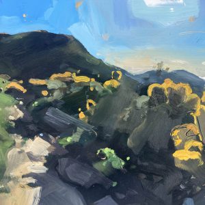 Hester Berry - Morte Point, Cows