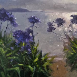 Jenny Aitken - Portscatho Agapanthus