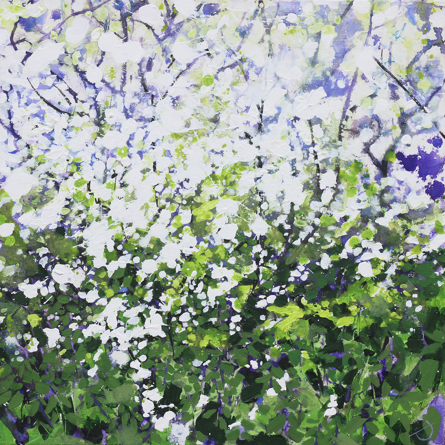 Joe Webster - Blackthorn and Nettles