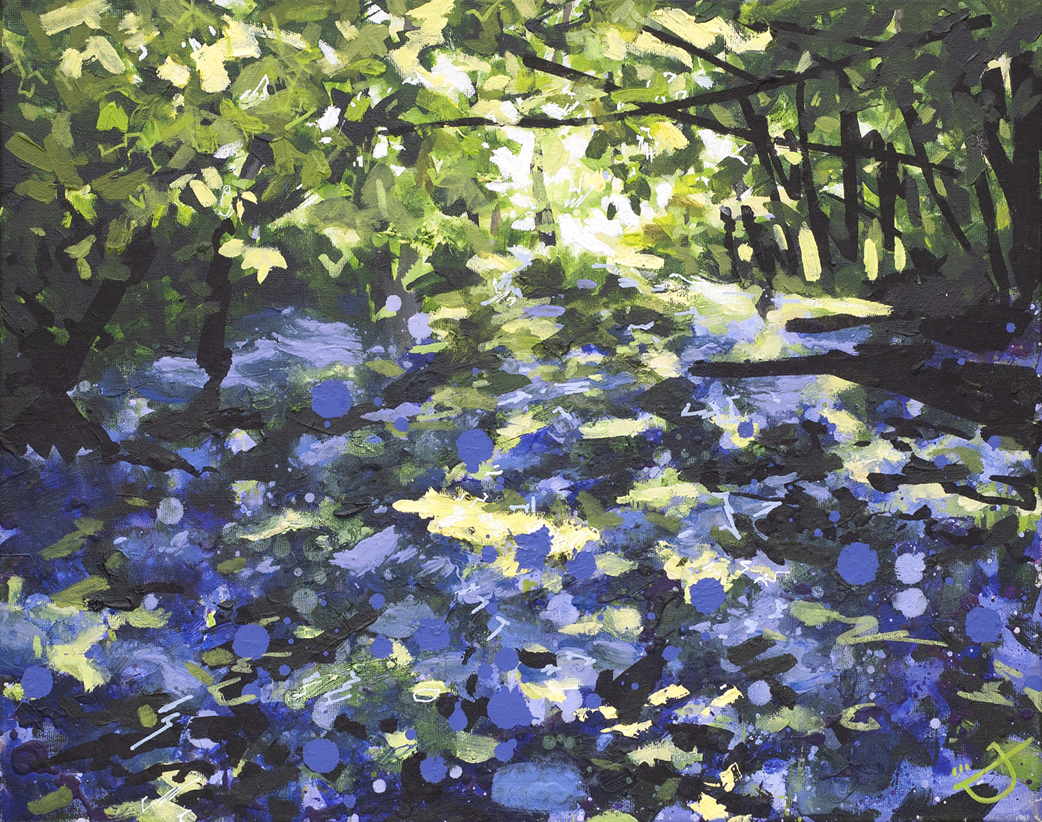 Joe Webster - Blackborough Bluebells