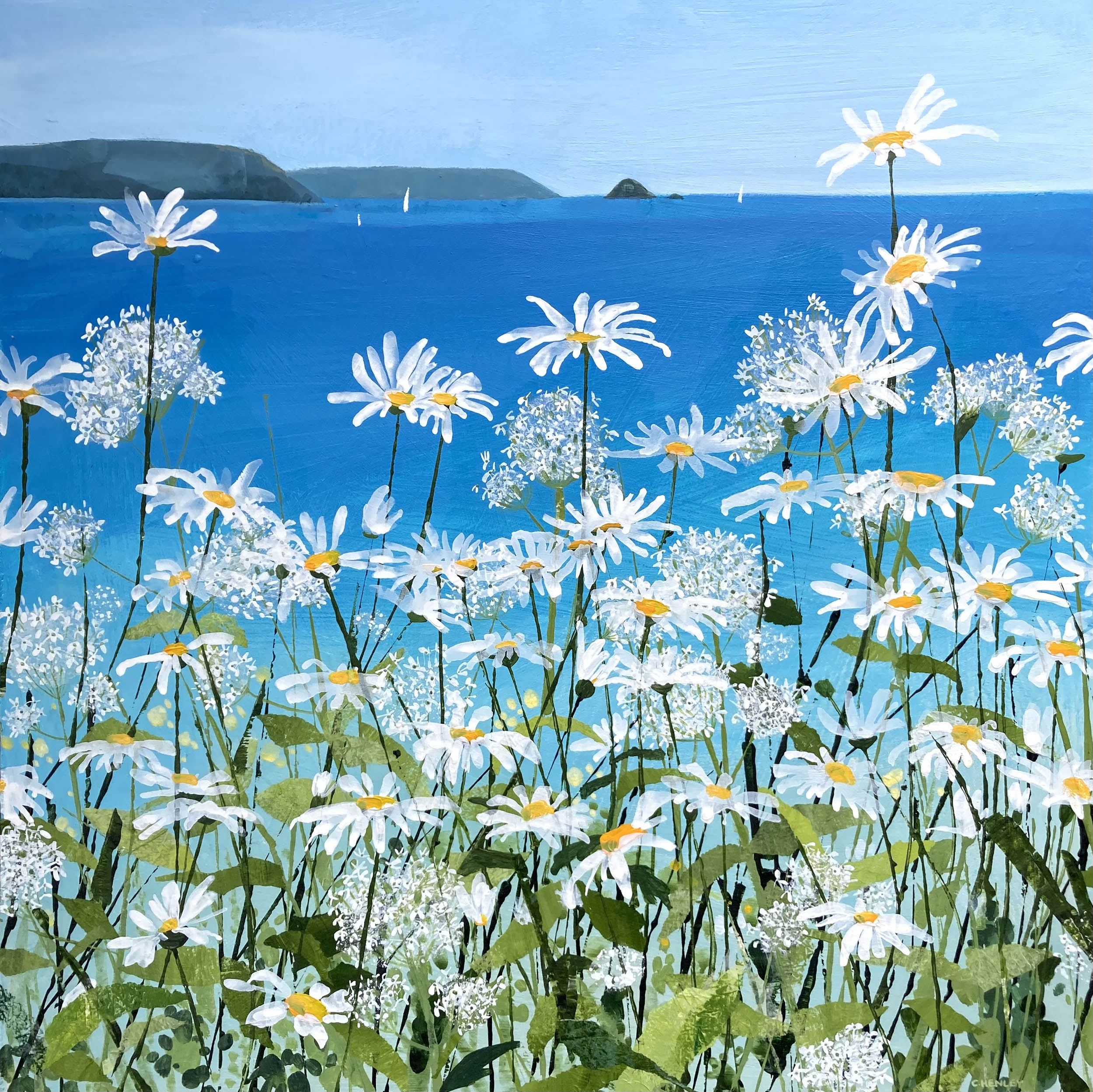 Claire Henley - Daisies and Valerian, Gerrans Bay
