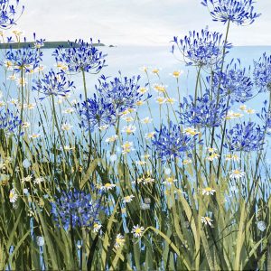 Claire Henley - Daisies and Agapanthus, Portscatho