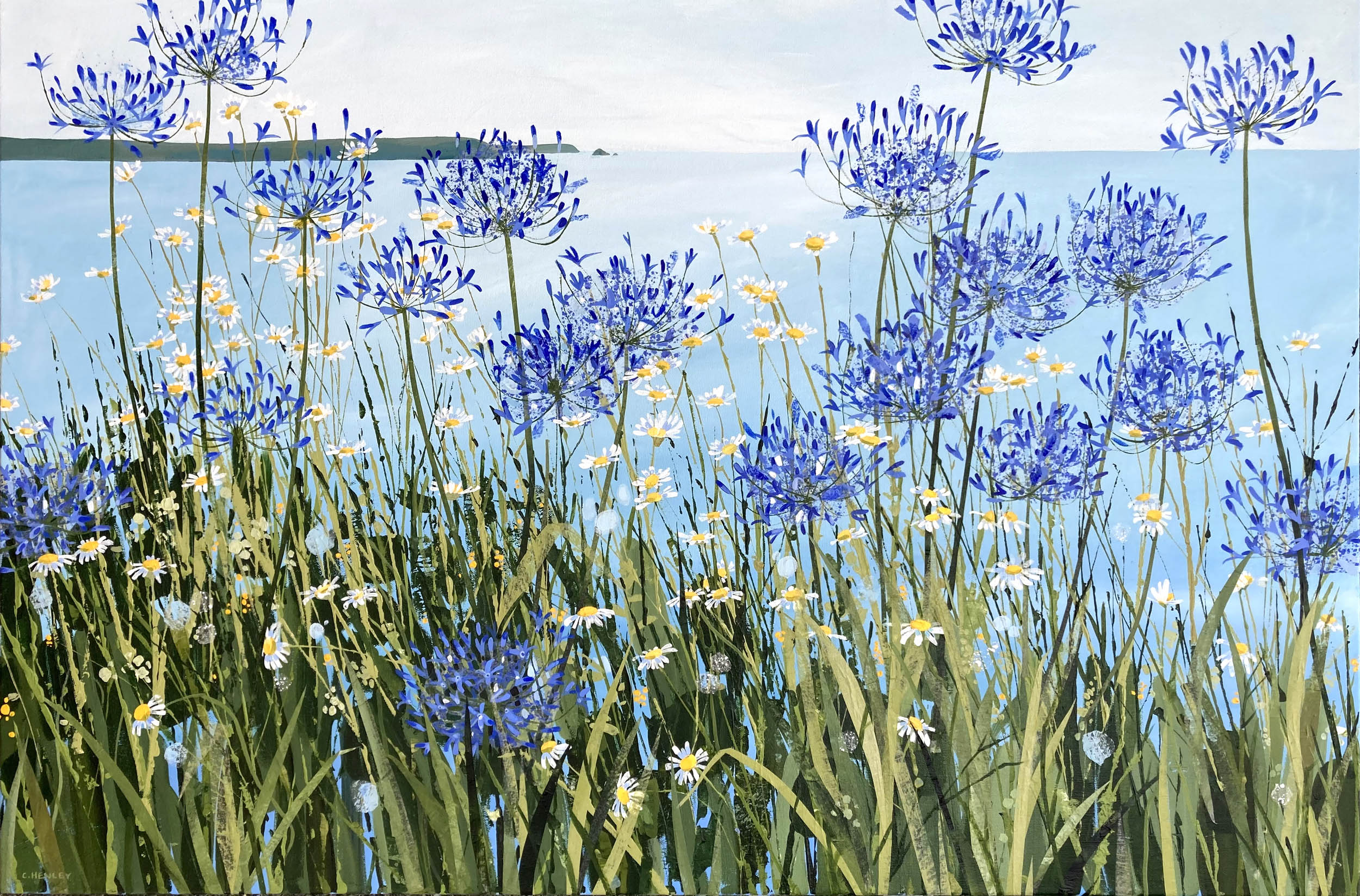 Claire Henley - Daisies and Agapanthus, Portscatho