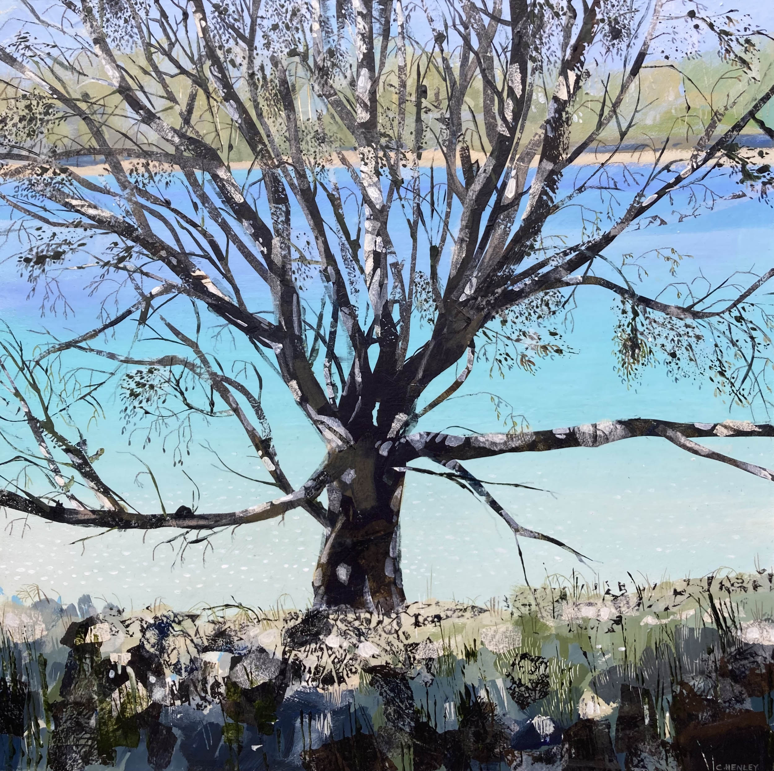 Claire Henley - Translucent Sea