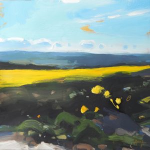Hester Berry - Rapeseed, Codden Hill