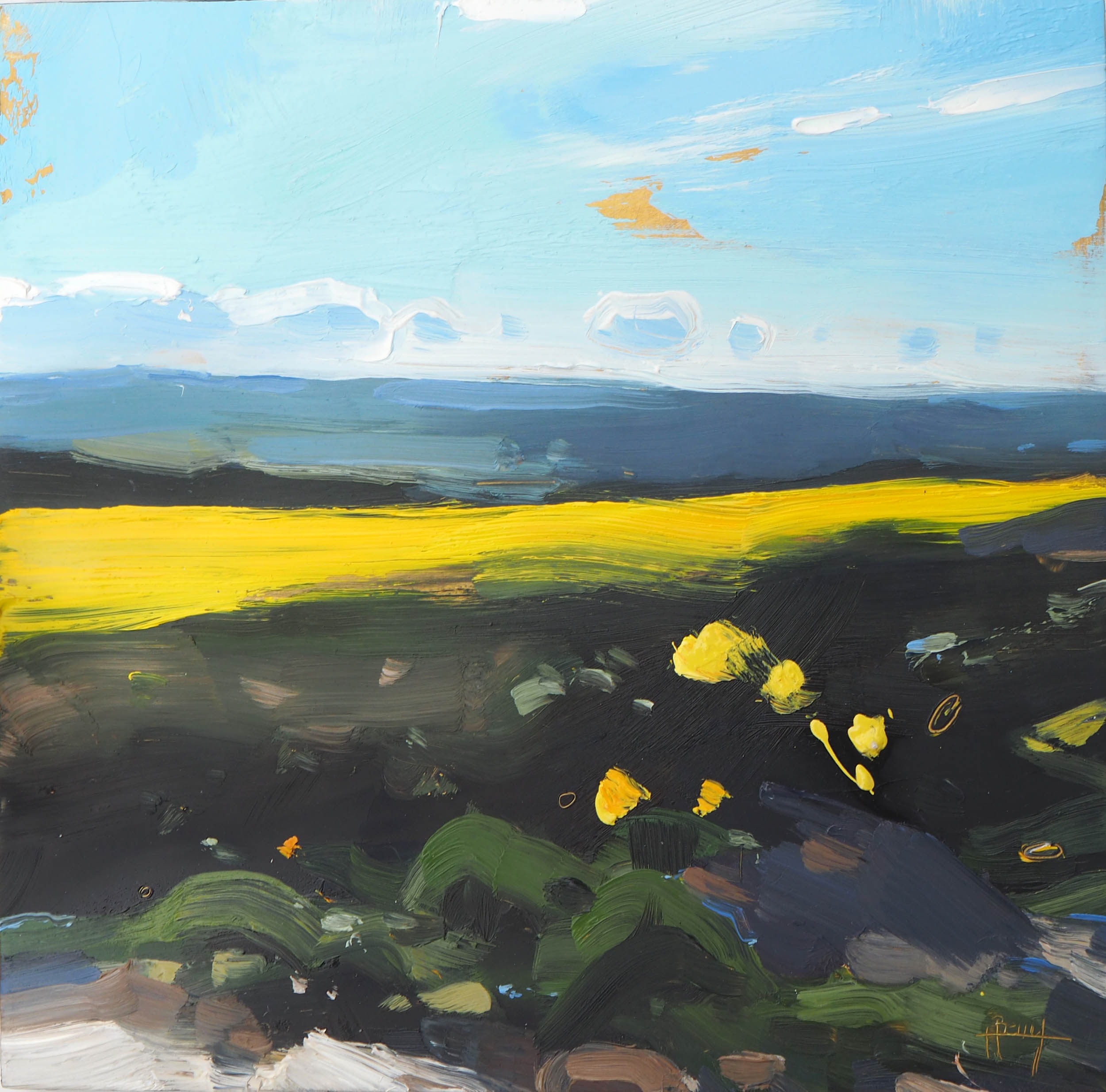 Hester Berry - Rapeseed, Codden Hill