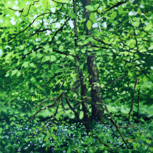 Joe Webster - Sycamore on the Riverbank