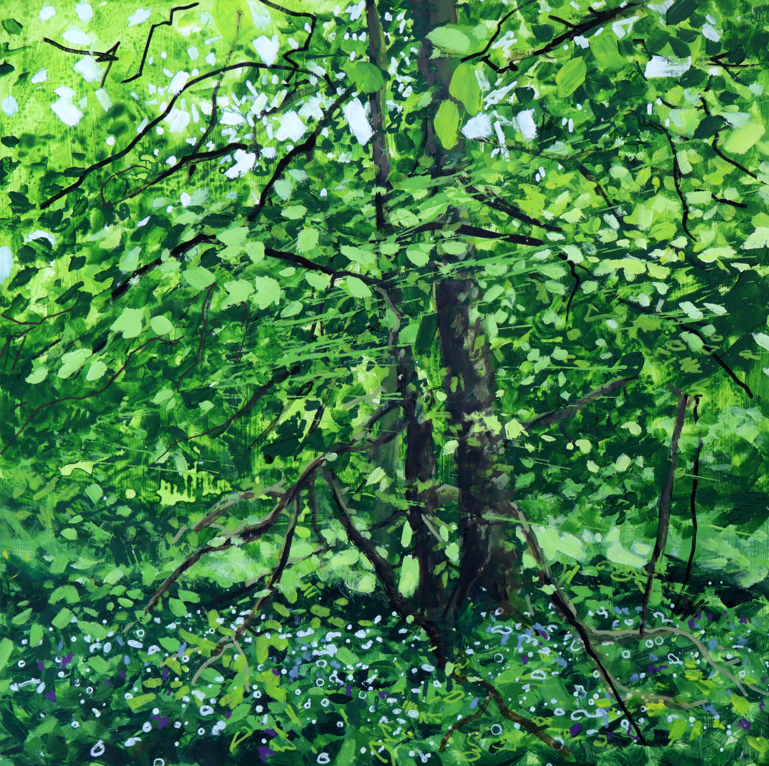 Joe Webster - Sycamore on the Riverbank