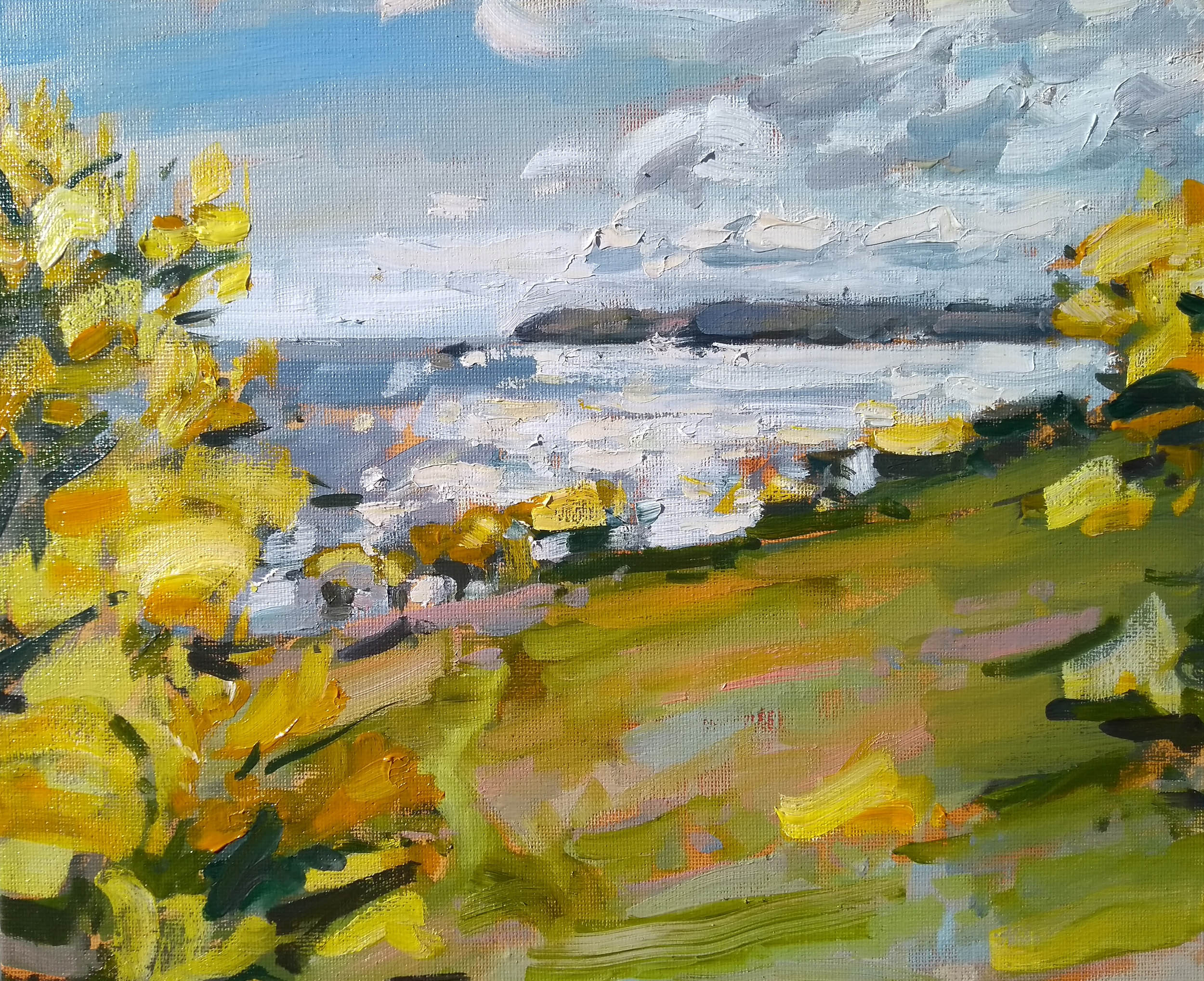 Jill Hudson - Gorse Yellow