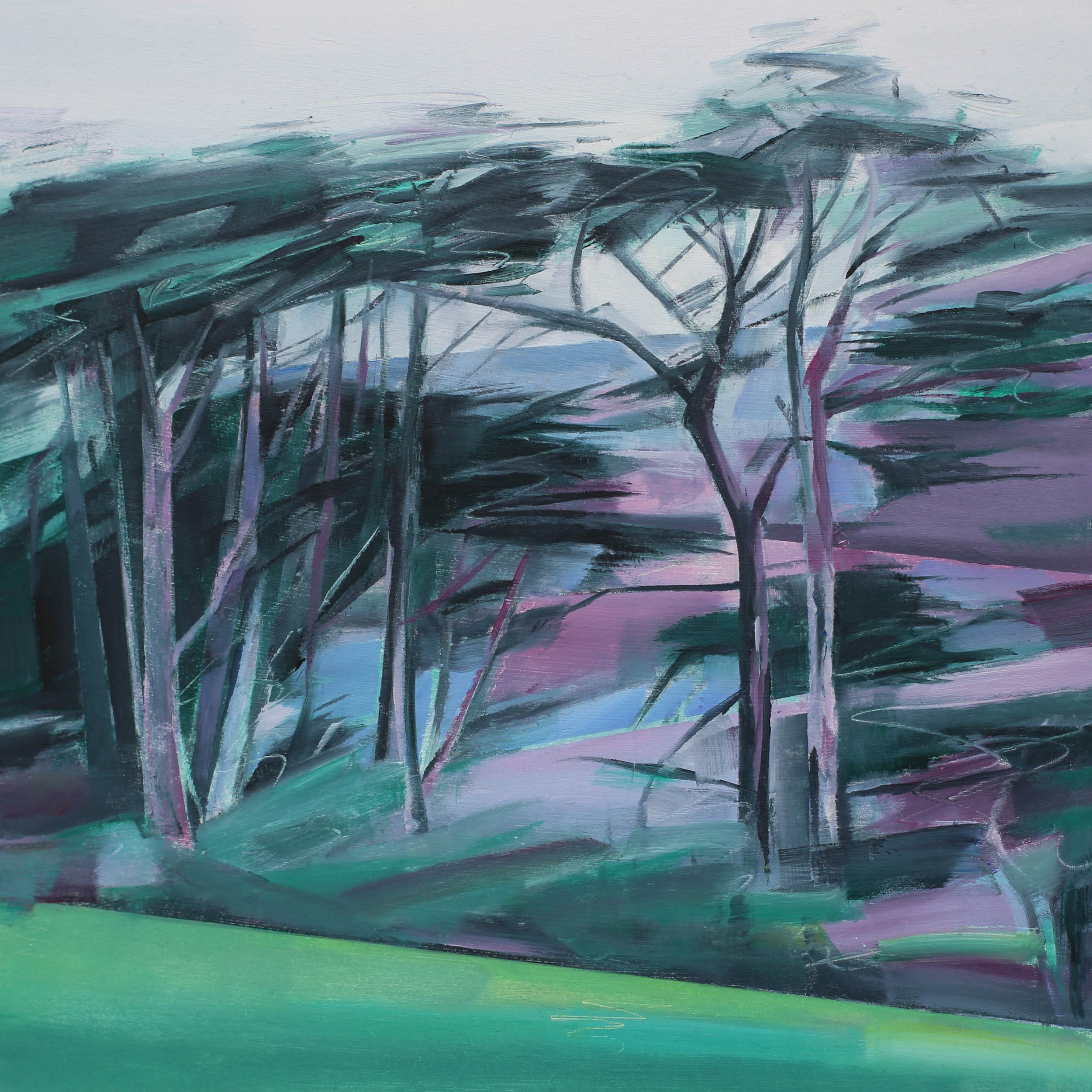Katy Barrell - Cornish Pines