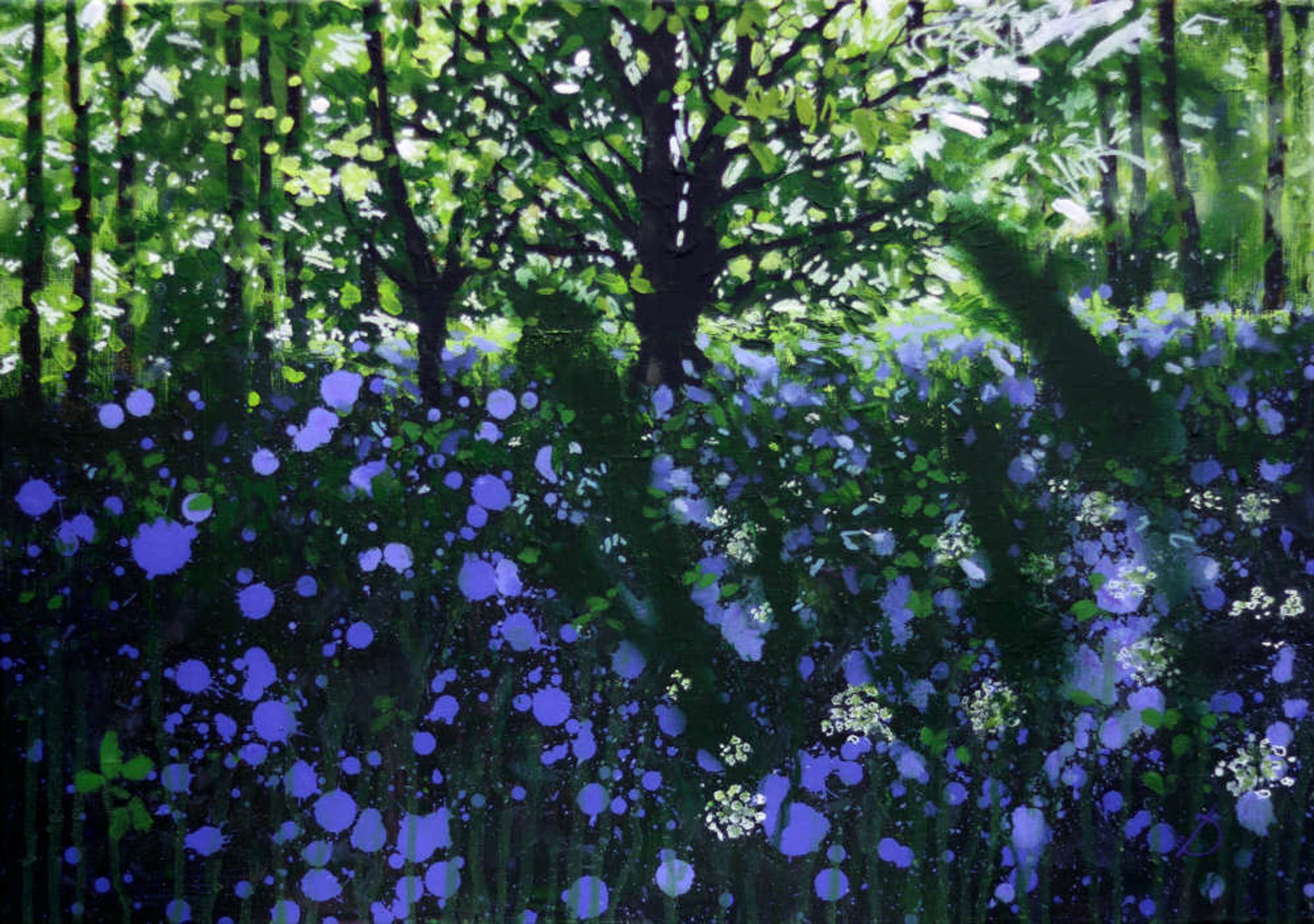 Joe Webster - Glade. Chasing the last Bluebells