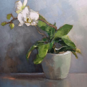 Jenny Aitken - Little White Orchid