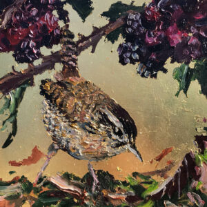 Jill Hudson - Little Wren