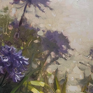 Jenny Aitken - Wildflowers and Light