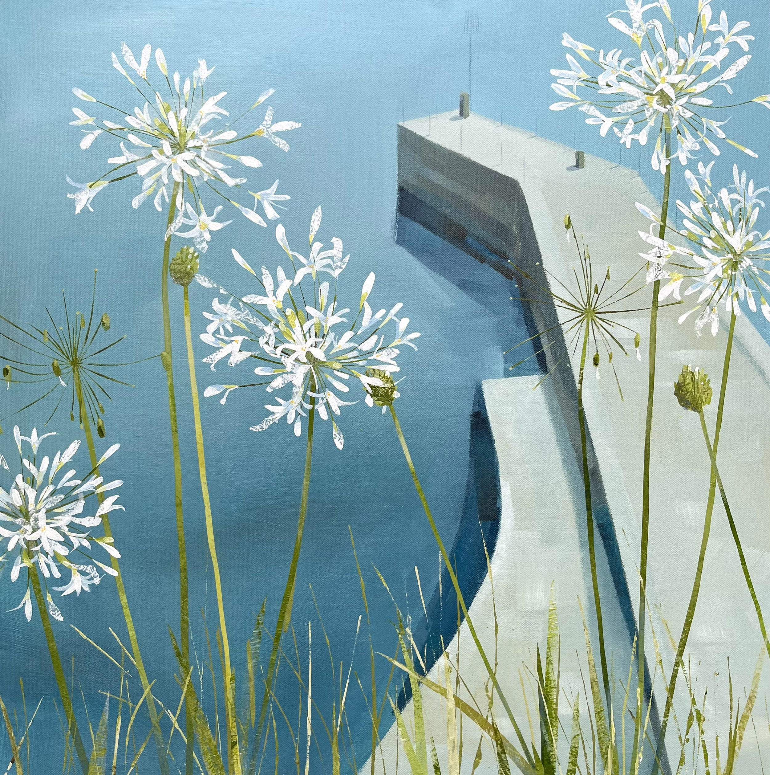 Claire Henley - White Agapanthus, Portscatho