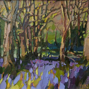 Ben Taffinder - Veryan Bluebells