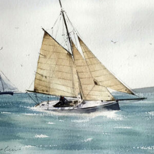 John Hopkins - Portscatho Regatta