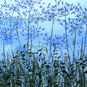 Claire Henley - Summer Agapanthus