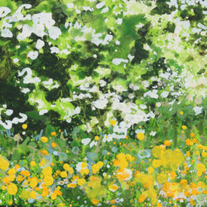 Joe Webster - Sunnier here