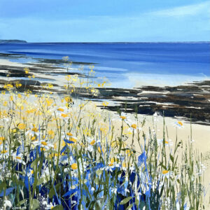 Claire Henley - Towan Rocks