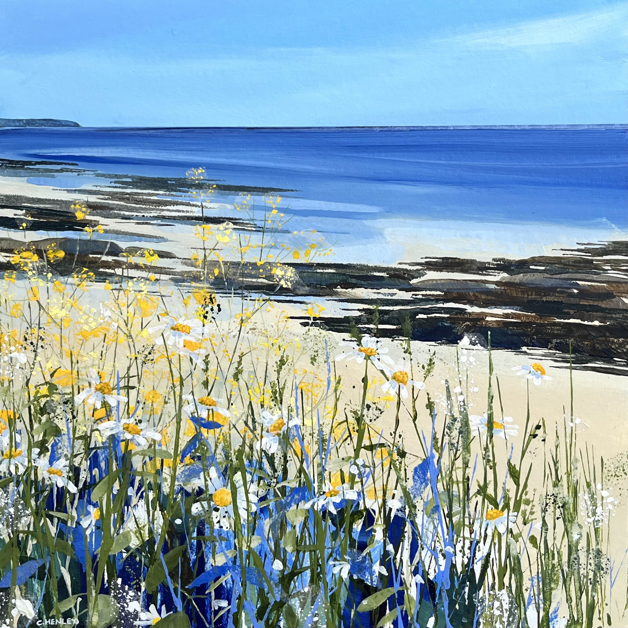 Claire Henley - Towan Rocks