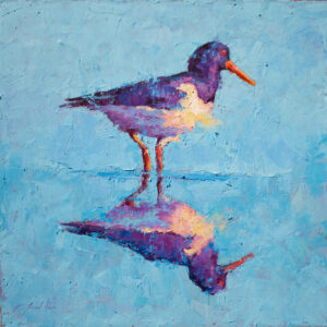 Jamel Akib - Oyster Catcher Reflection