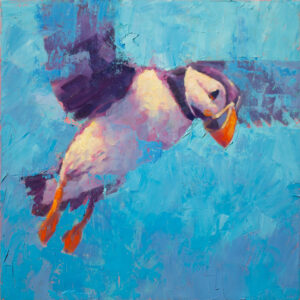 Jamel Akib - Puffin Landing