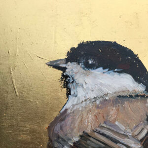 Jill Hudson - Marsh Tit