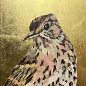 Jill Hudson - Thoughtful Thrush