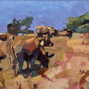Ben Taffinder - Dry Summer, South Devon Cattle