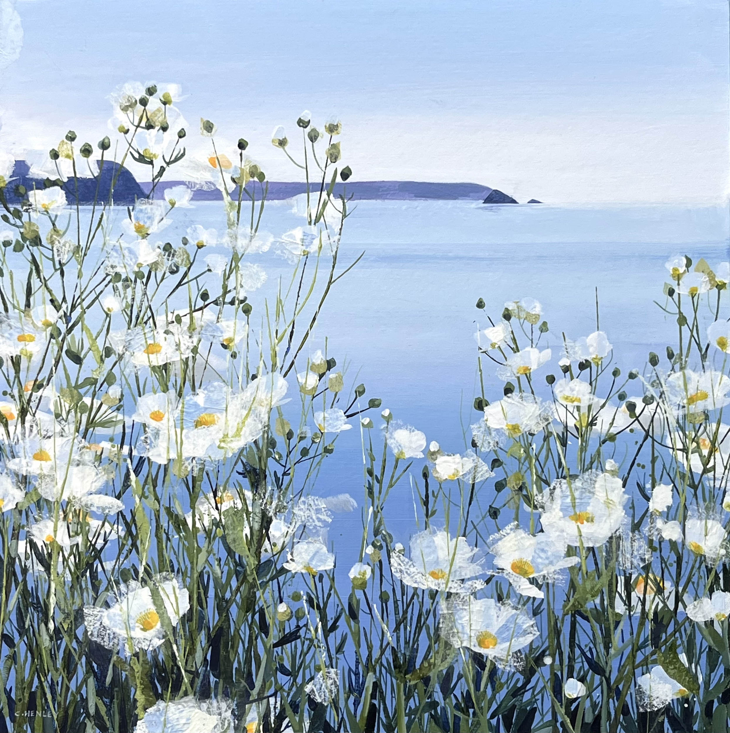 Claire Henley - White and Blue